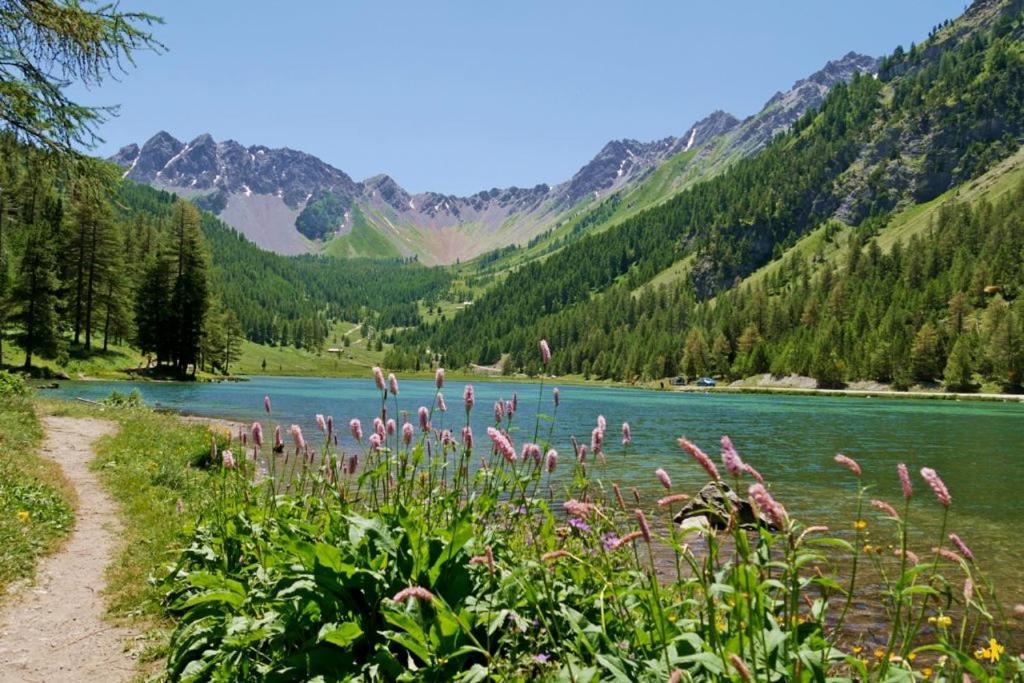 L'Oxalys Studio ! Coin Montagne - Pied Des Pistes & Centre Ville Briancon  Luaran gambar